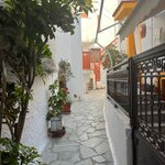 Photo taken by Steven B