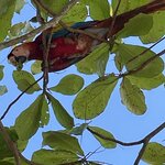 Photo taken by Kristen L