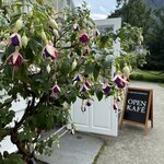 Photo taken by Lara N