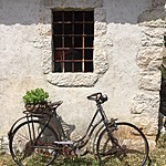 Not our bike | Photo taken by Jennifer F