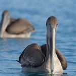 Photo taken by mindy n