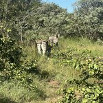 Photo taken by Crystall P