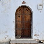 Photo taken by Susan R