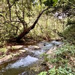 Photo taken by Ben B