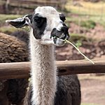 Photo taken by Katie H