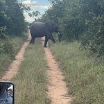 Photo taken by Crystall P