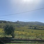 Photo taken by Dee C