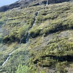 Photo taken by Andrea Y