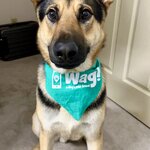 Photo taken by Debbie W