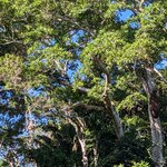 Photo taken by Ciarra N