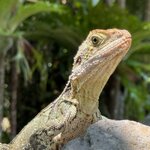 Photo taken by Shannon R