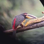 Photo taken by Jayme B