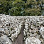 Photo taken by Danielle P