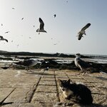 Photo taken by Victoria L