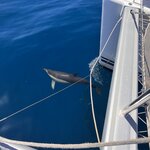 Photo taken by Michael M