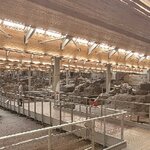 Photo taken by SHOSHANA S