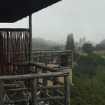 Parque Quilquico, Chiloé  | Photo taken by Sheila S