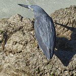 Photo taken by Vinay K