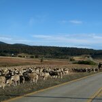 Photo taken by Joe S