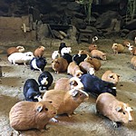 Photo taken by Kristen K