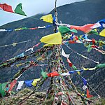 Photo taken by Shawn C