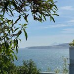 Photo taken by Brenda A