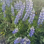 Photo taken by Dawn S