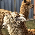 Photo taken by Brenna M