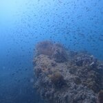 Photo taken by Susan & Bob M