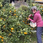 Photo taken by Derek A