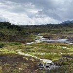 Photo taken by Carine D