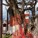 Photo taken by Laurie A