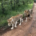 Photo taken by Michael Z