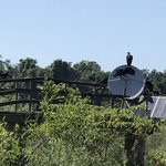 Photo taken by Deborah M