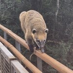 Photo taken by Vickie B