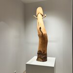 Photo taken by Connie P