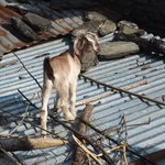 Photo taken by Susan H