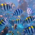 Photo taken by Dixie W