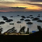 Photo taken by Mai S