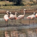 Photo taken by Graham H