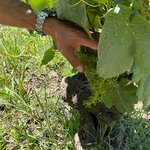 Photo taken by Doug P