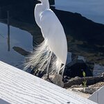 Photo taken by Barb M