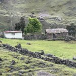 Photo taken by Lori S