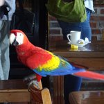 Photo taken by Khaled S