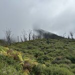 Photo taken by Peter B