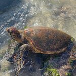 Photo taken by Raphael B