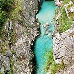 Photo taken by Kim R