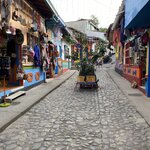 Photo taken by Bincy P