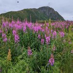 Photo taken by Dani L