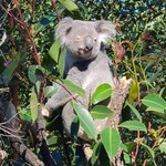 Photo taken by Maggie W